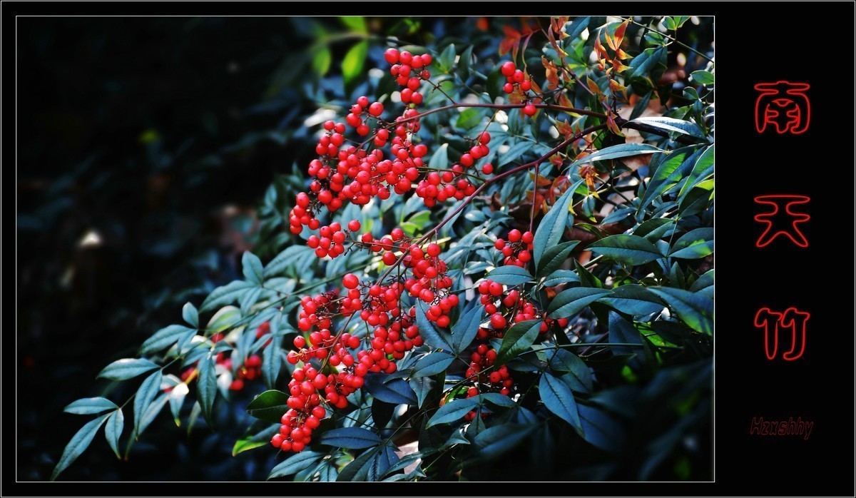 #版主坐堂#小五星空(中国)2022年11月精品荟萃