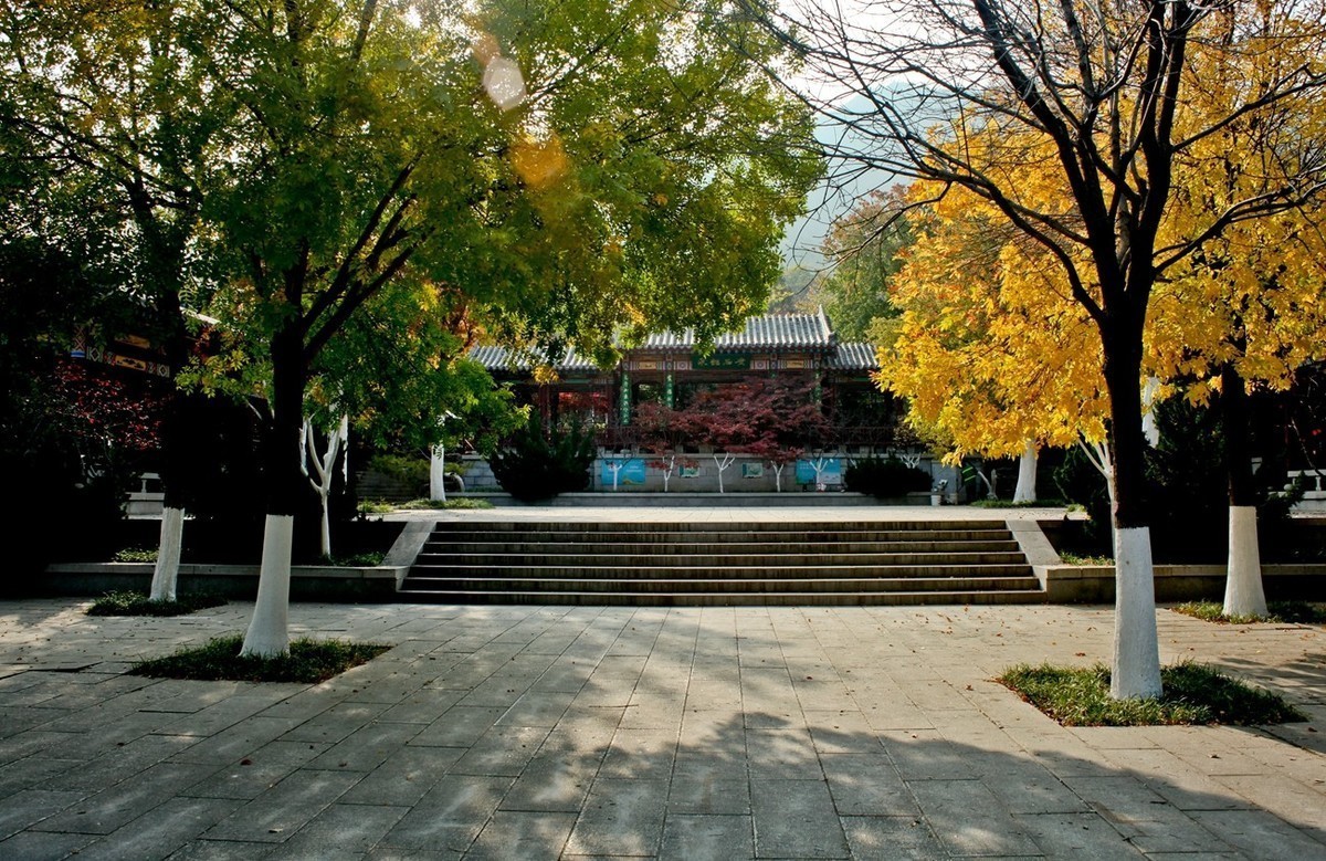 #版主坐堂#小五星空(中国)2022年11月精品荟萃