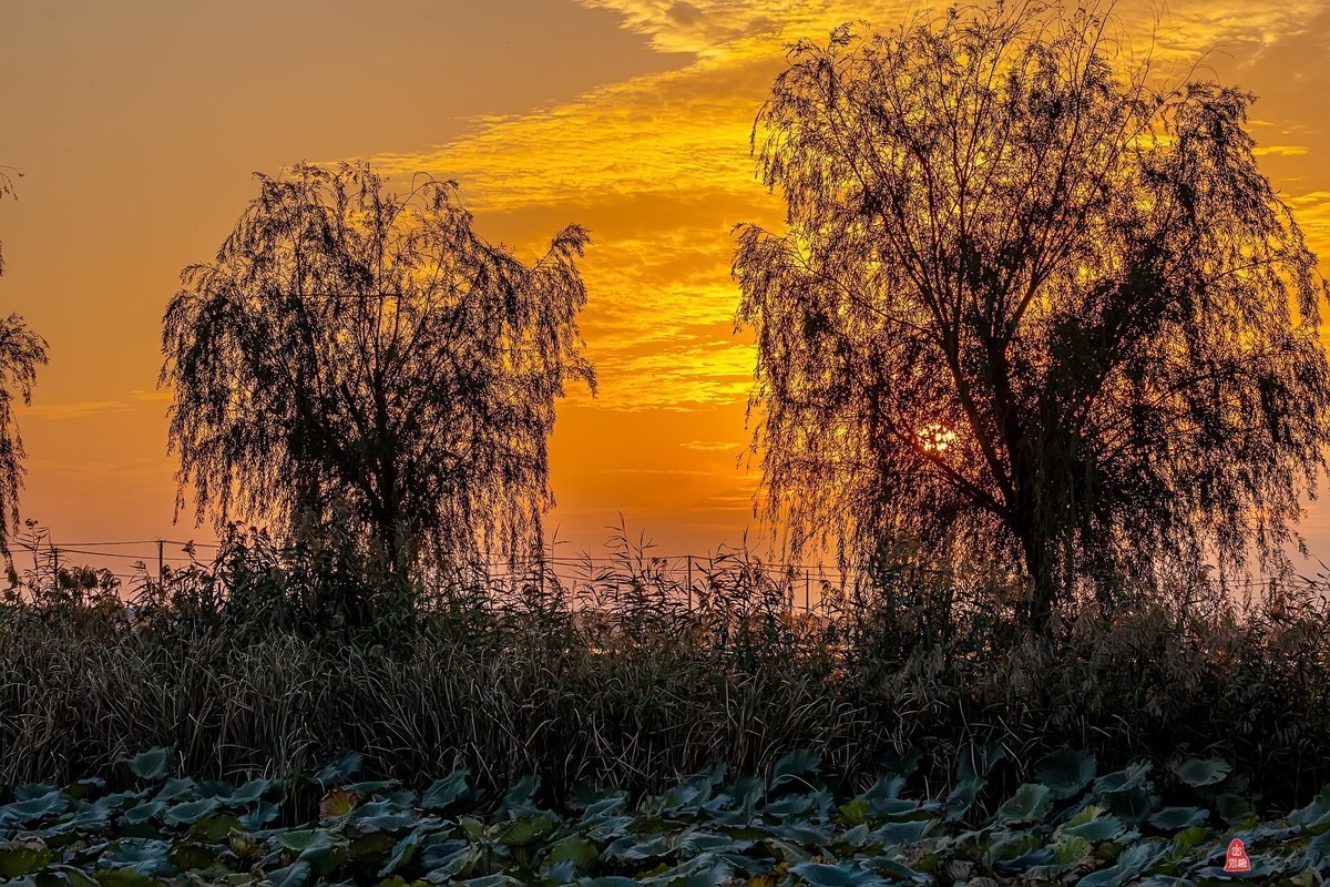 #版主坐堂#小五星空(中国)2022年11月精品荟萃