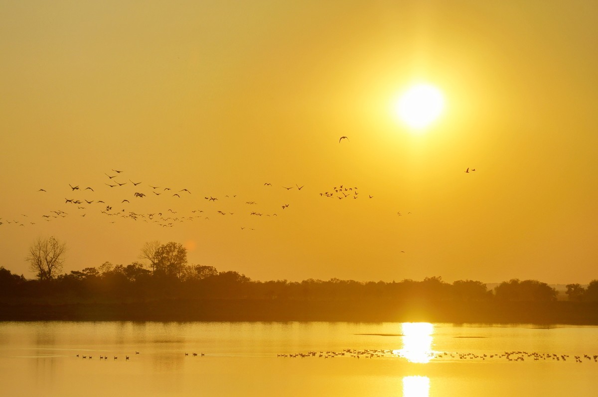 #版主坐堂#小五星空(中国)2022年11月精品荟萃