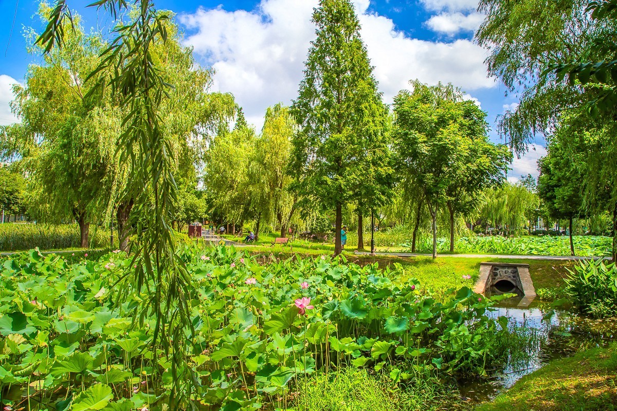 2023-07-30仪征大蒲塘公园（三）