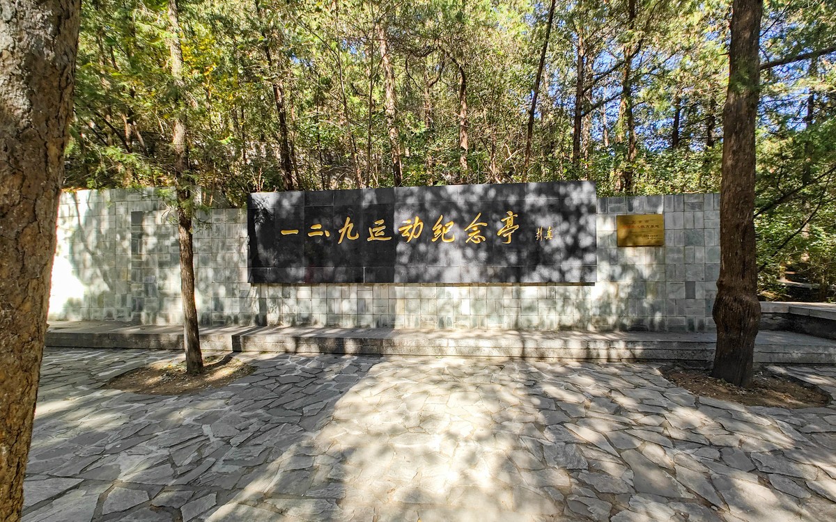 手机随拍20231026 《252》