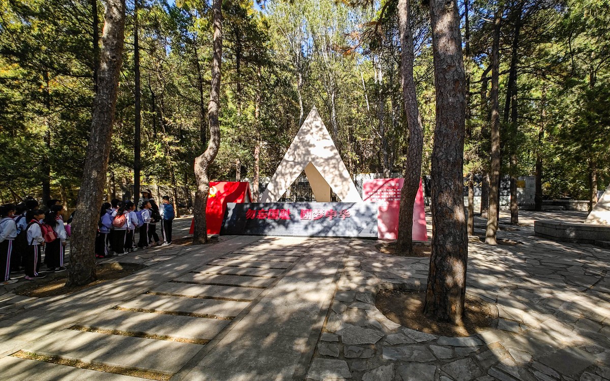 手机随拍20231026 《252》