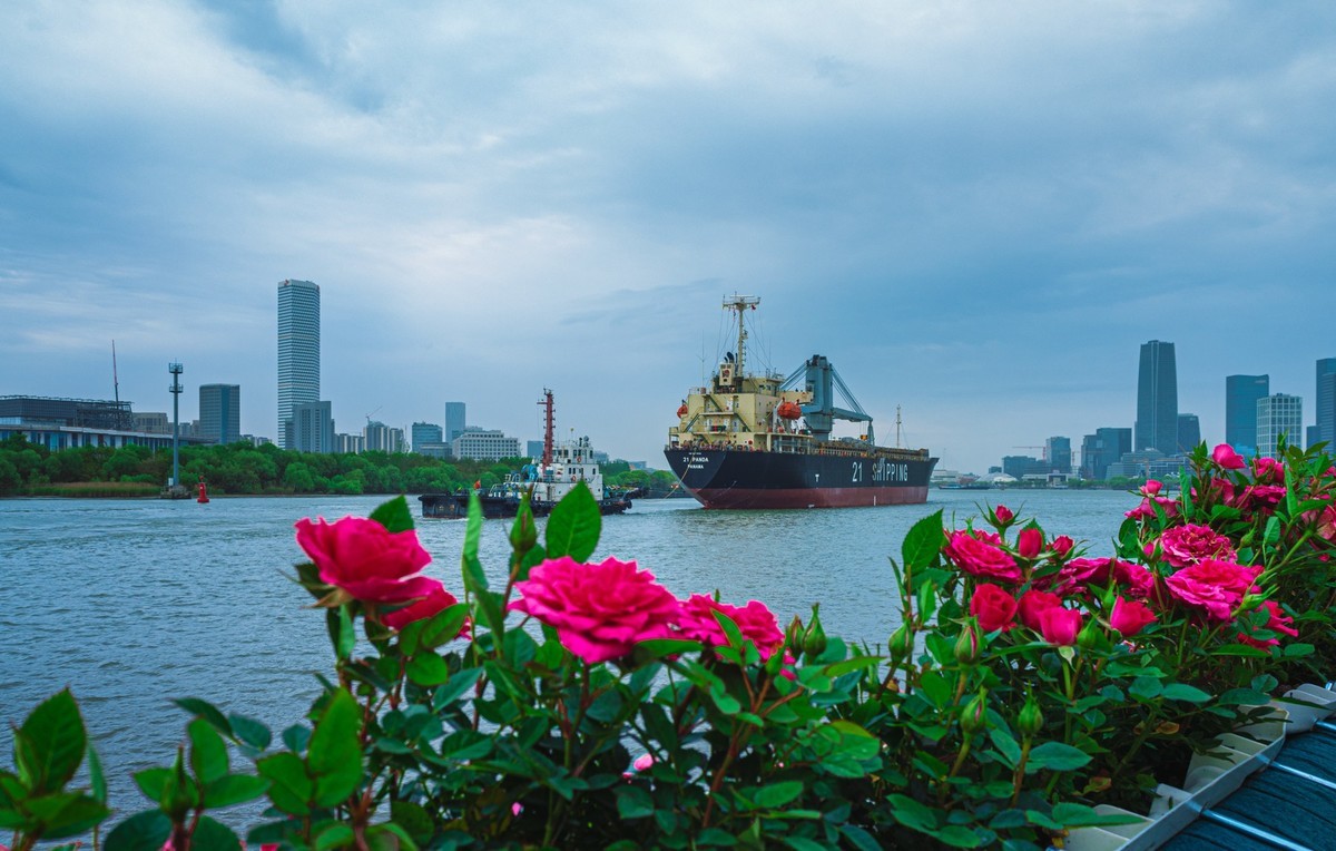 2024国际花展徐汇滨江分会场