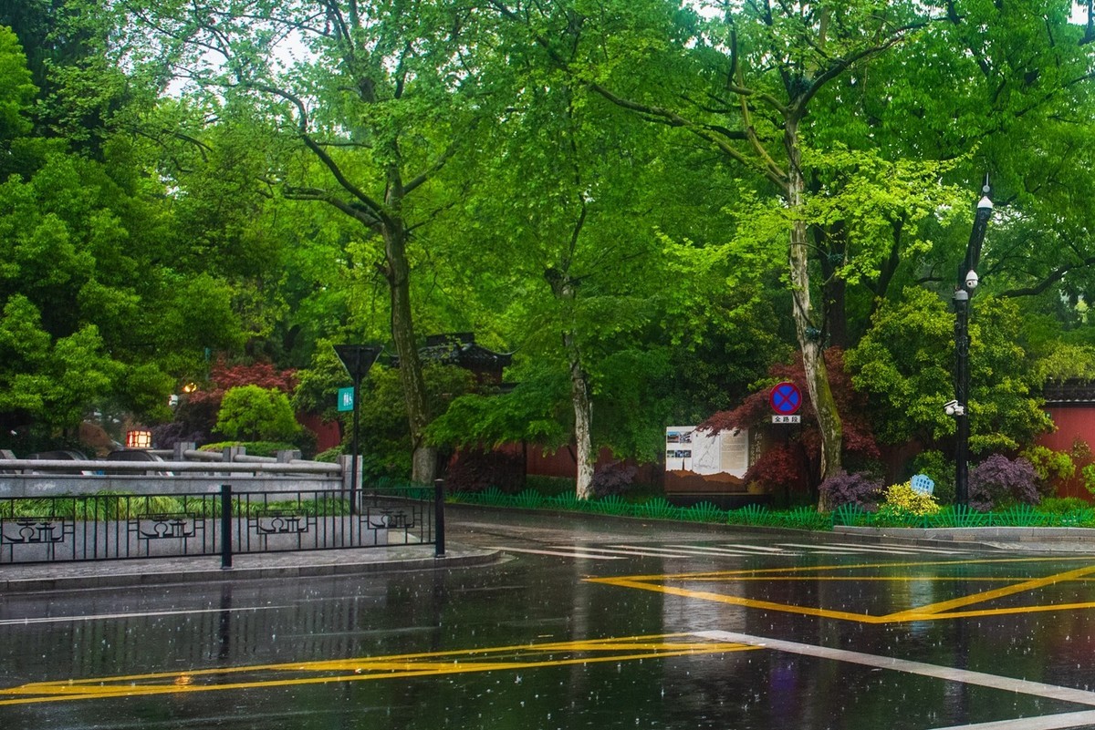 杭州—西湖—曲院风荷