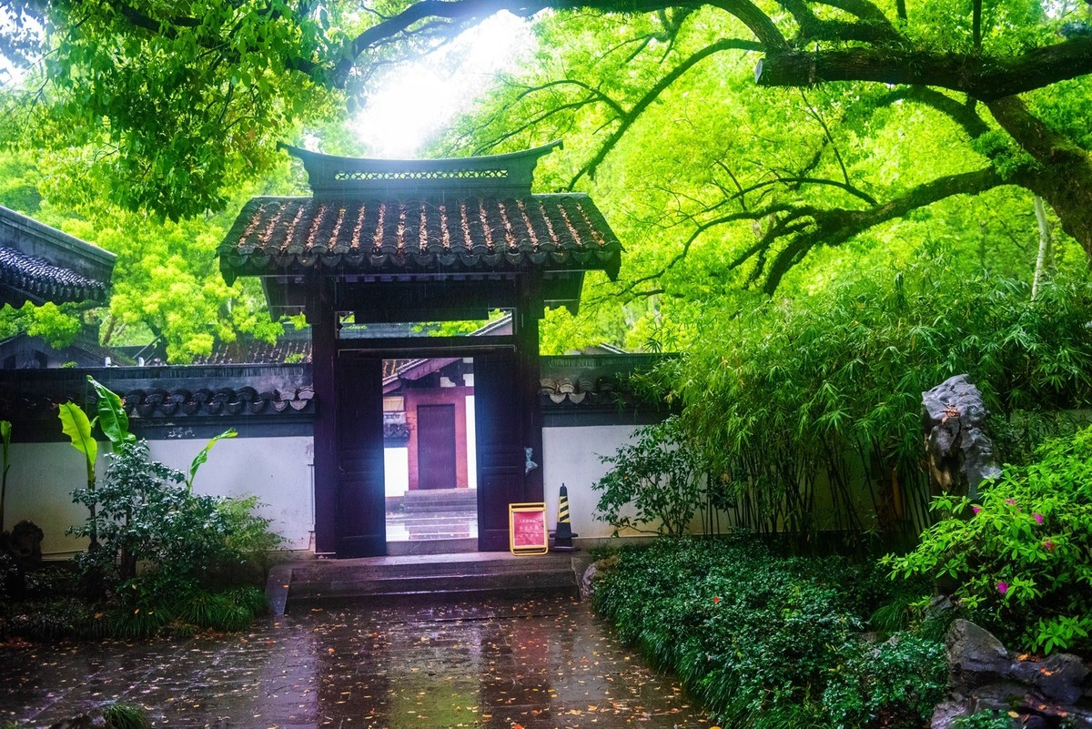 杭州—西湖—曲院风荷