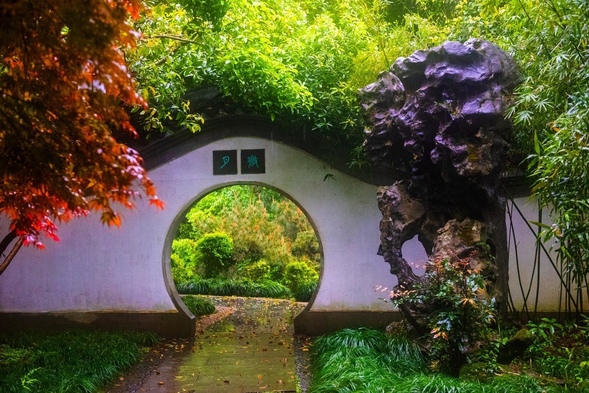 杭州—西湖—曲院风荷