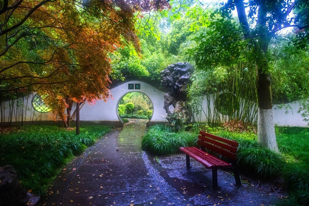 杭州—西湖—曲院风荷