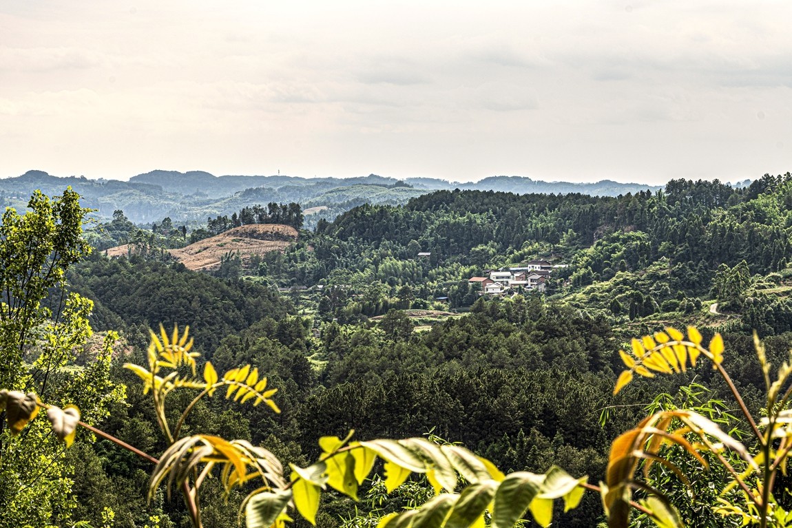 四川威远骑龙坳---晚霞
