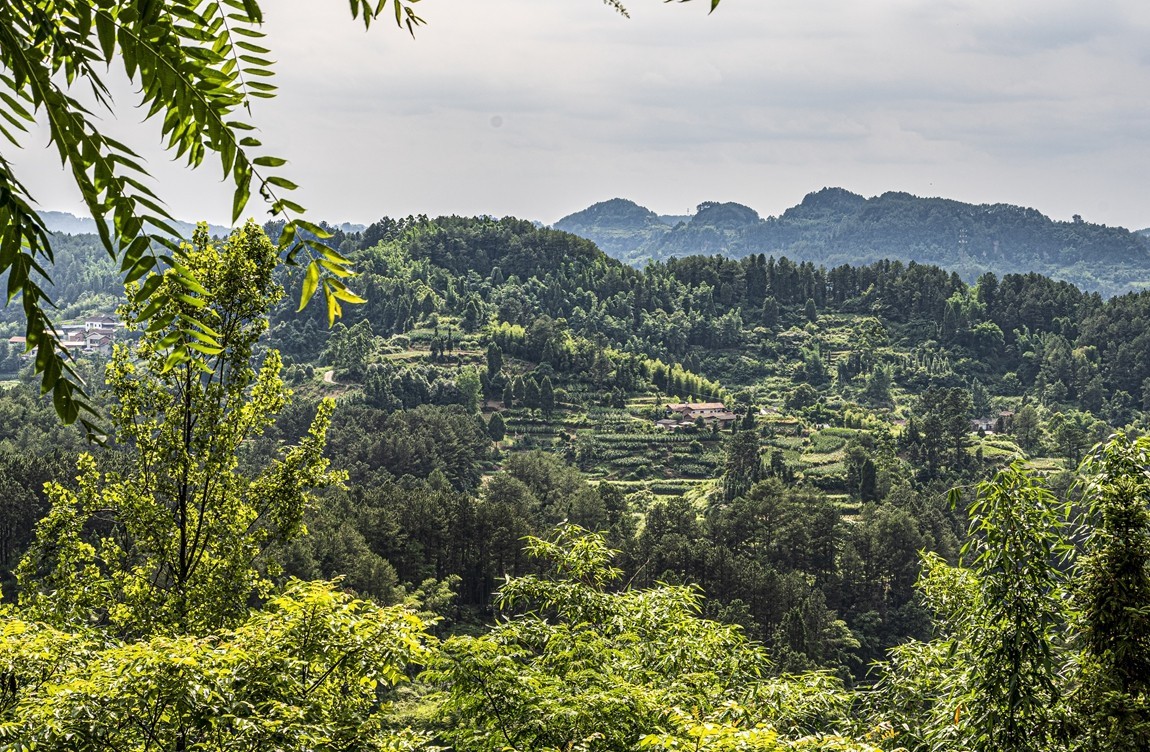四川威远骑龙坳---晚霞