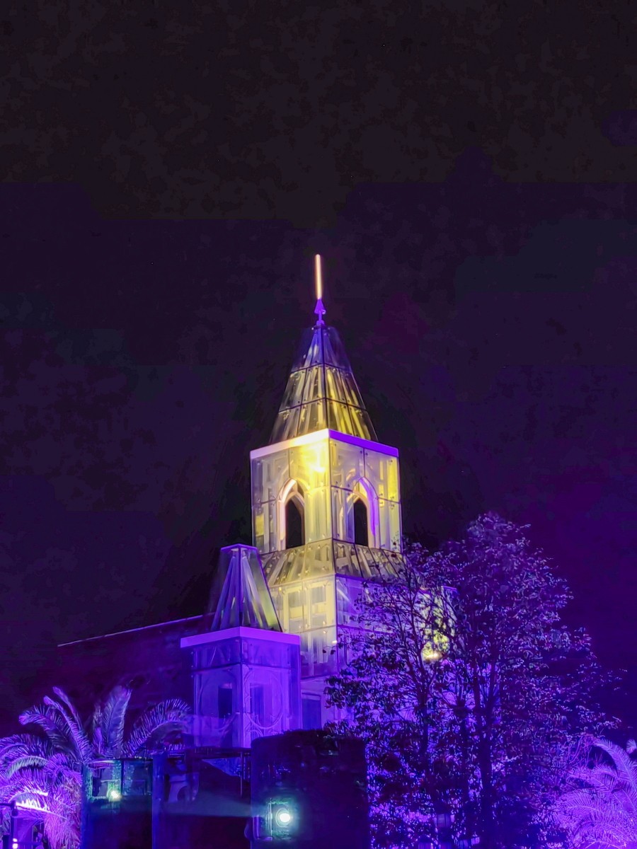 外出随拍（续134）.