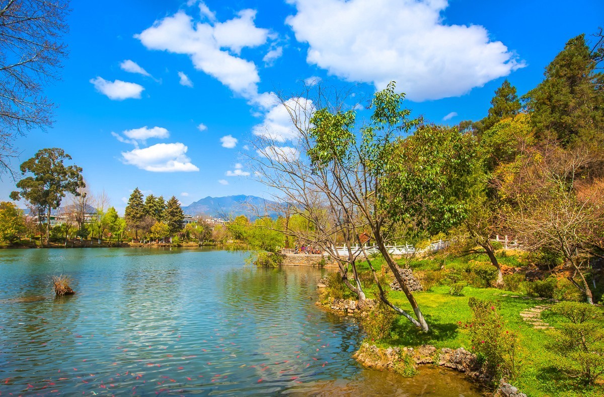 2024-09-19云南丽江黑龙潭公园（九）