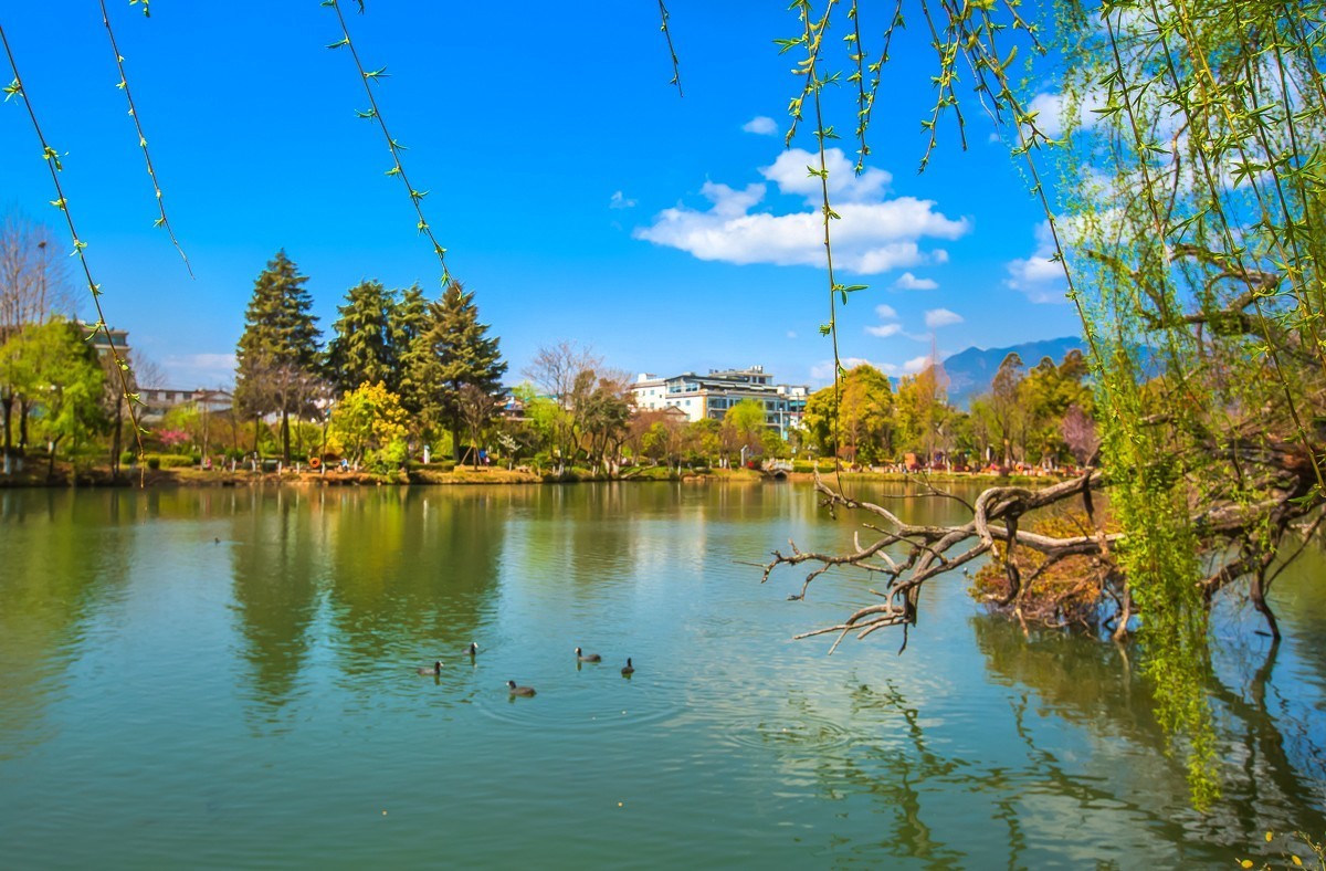 2024-09-19云南丽江黑龙潭公园（九）