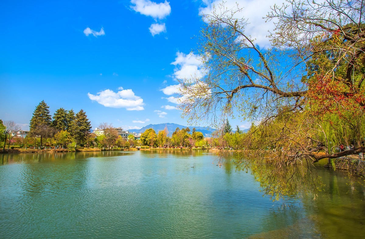 2024-09-19云南丽江黑龙潭公园（九）