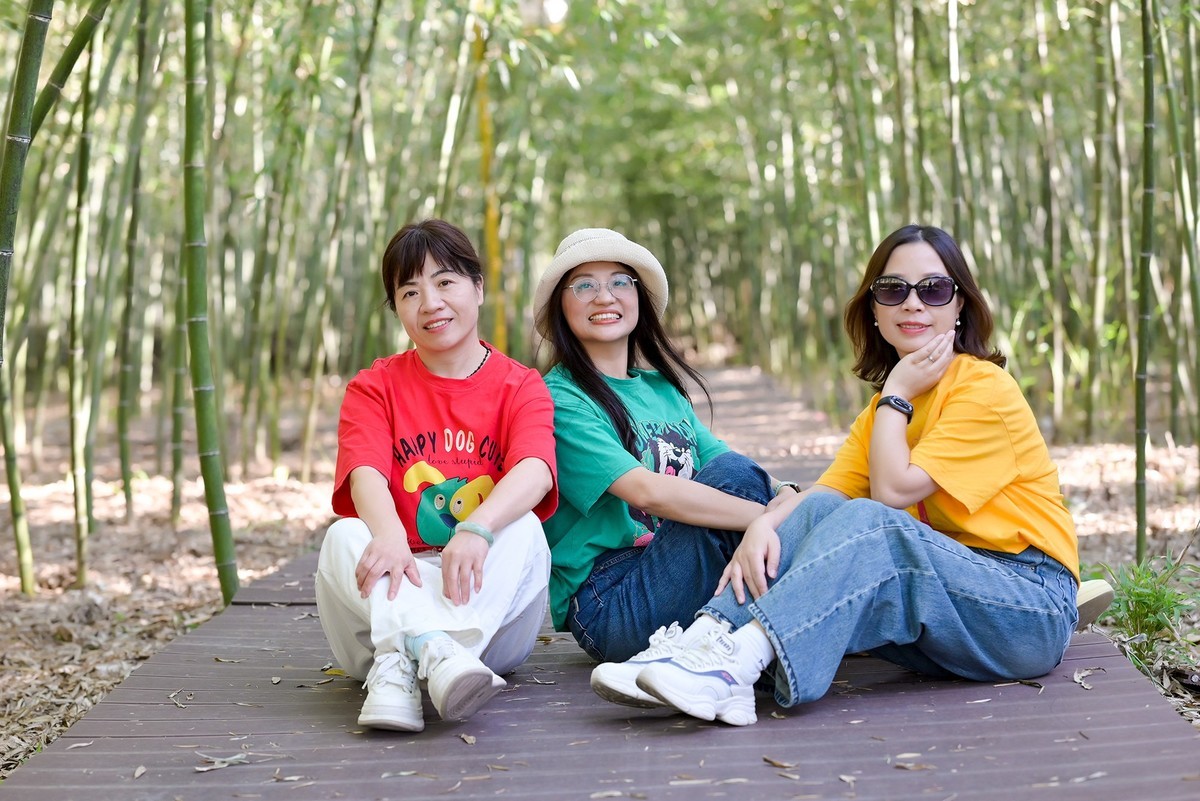 三个女人一台戏