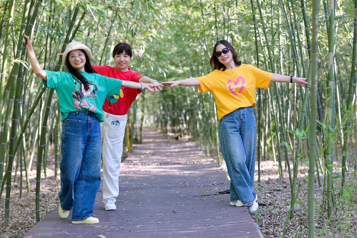 三个女人一台戏