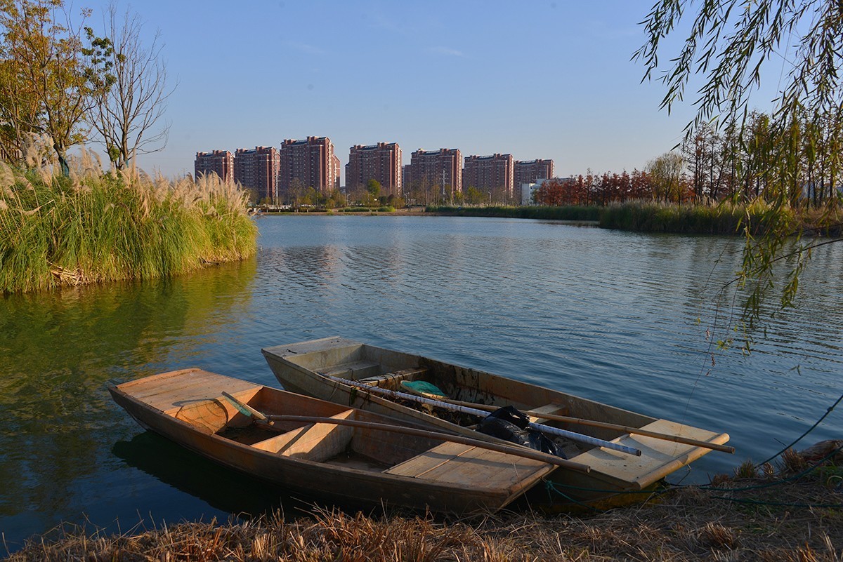 冬色堪比春色美