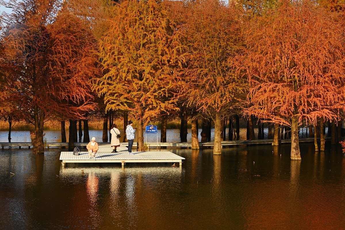 冬色堪比春色美