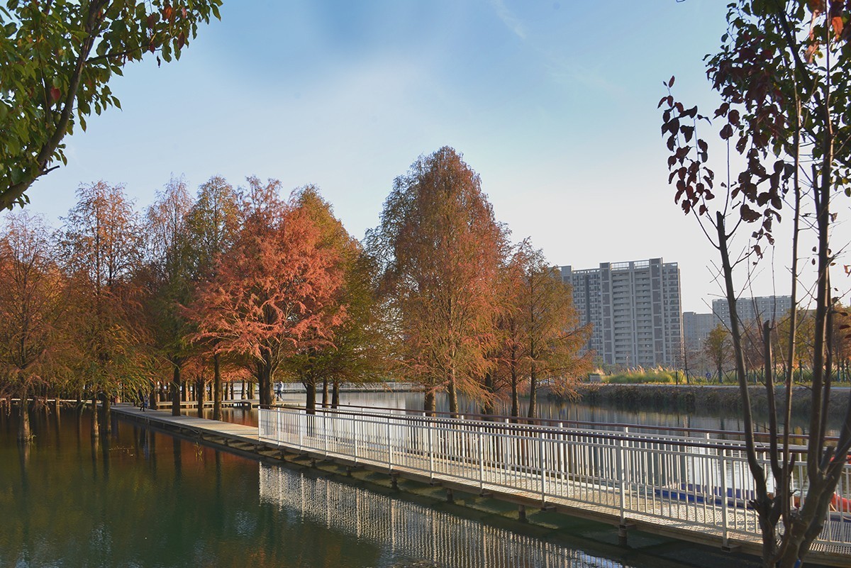 冬色堪比春色美