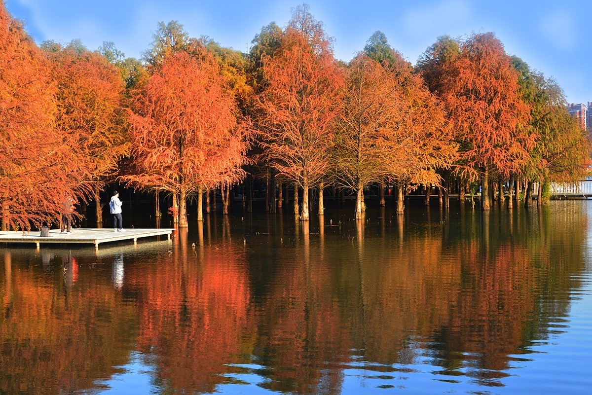 冬色堪比春色美