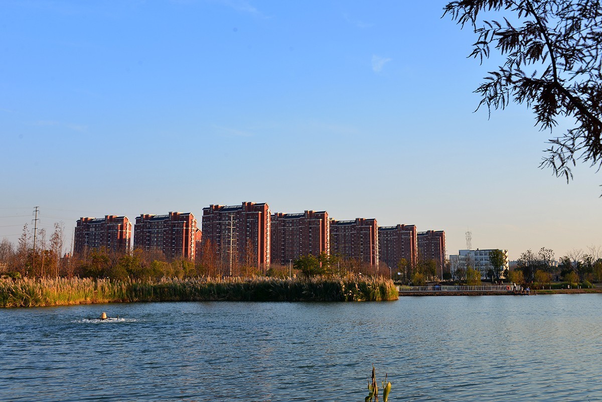 冬色堪比春色美