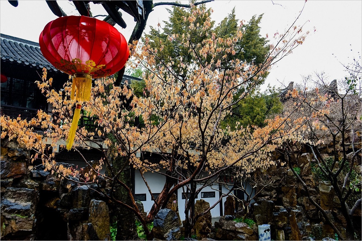 2025年第0058贴-扬州瘦西湖旅拍（0120）