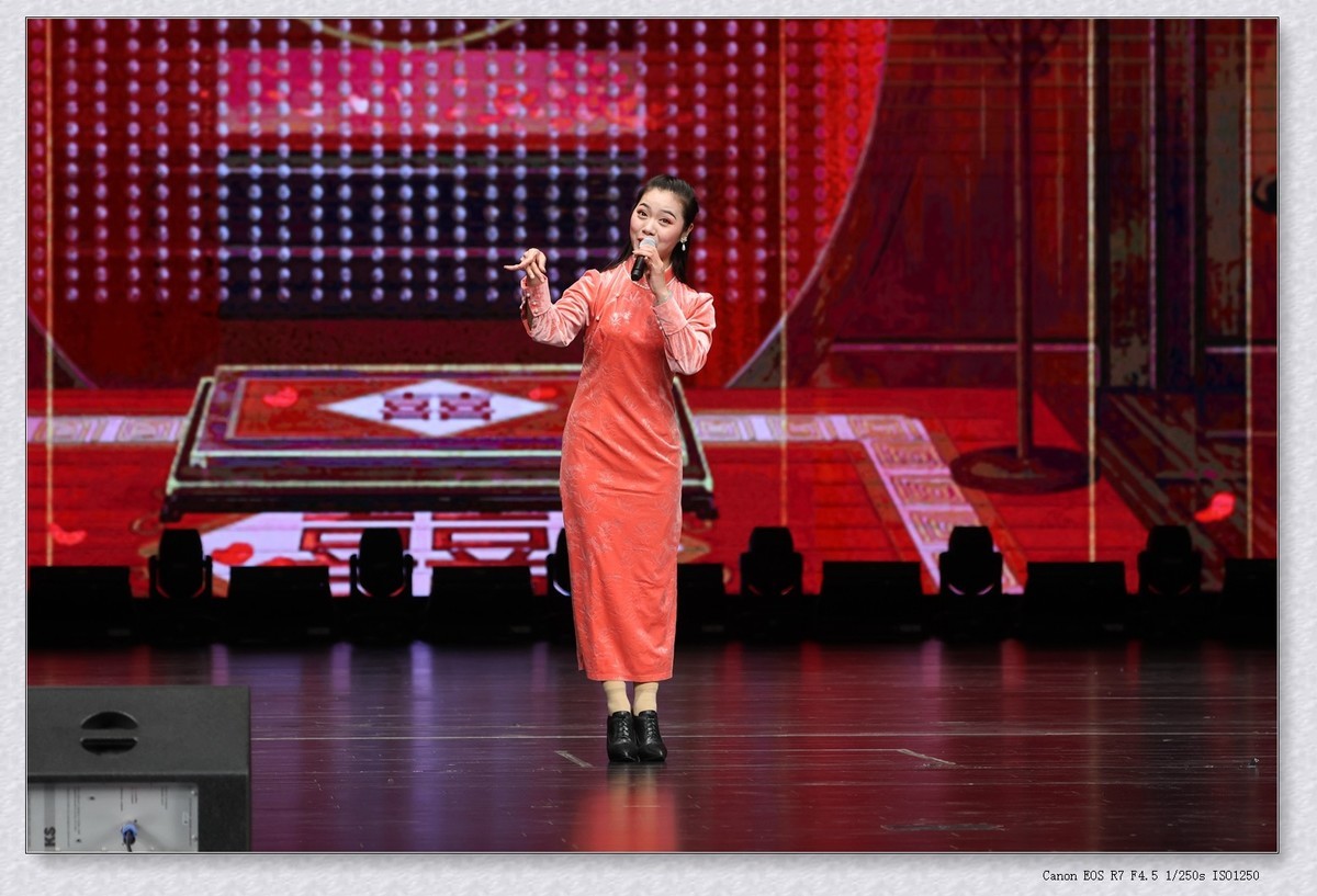 贺新年乡音乡情梨园名家戏曲演唱会