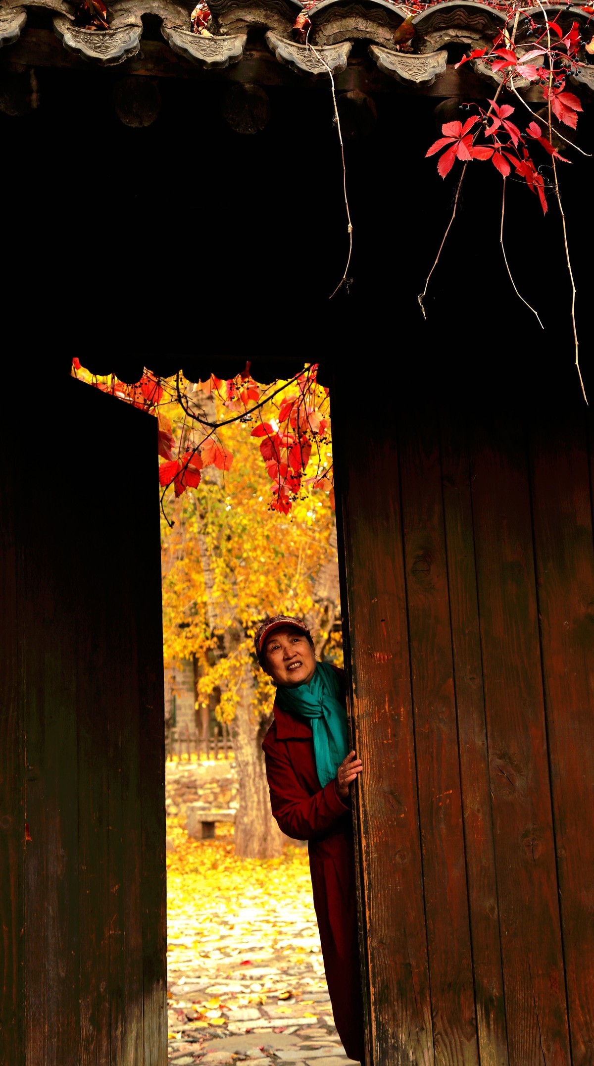 金秋古北口览秋