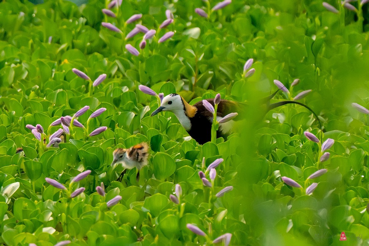 辞新迎旧，跨年特辑