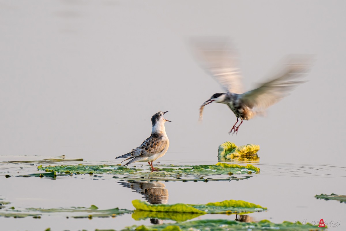 辞新迎旧，跨年特辑