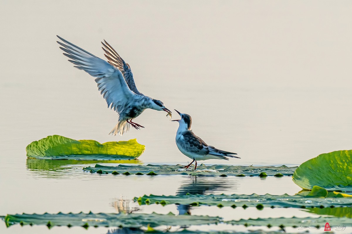 辞新迎旧，跨年特辑