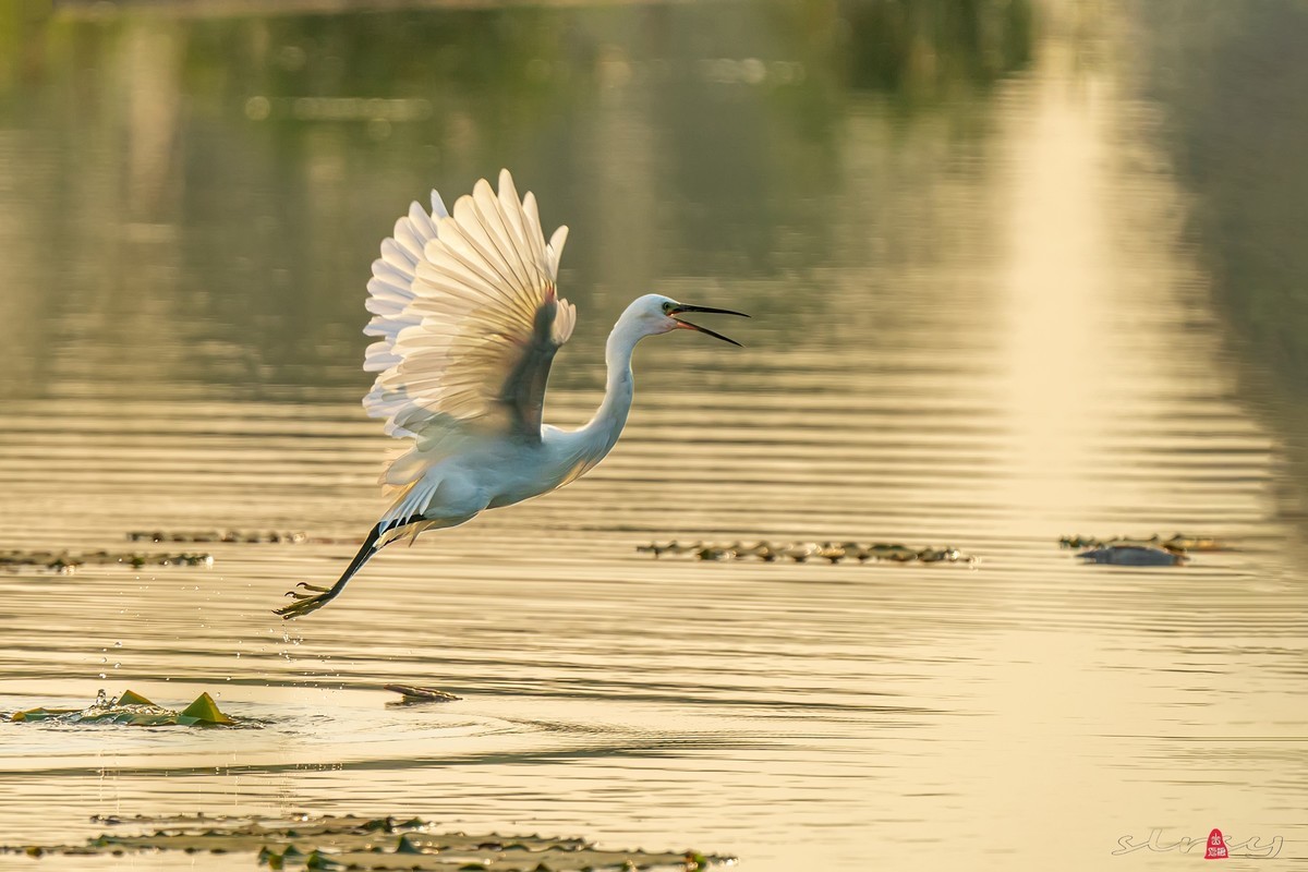 辞新迎旧，跨年特辑
