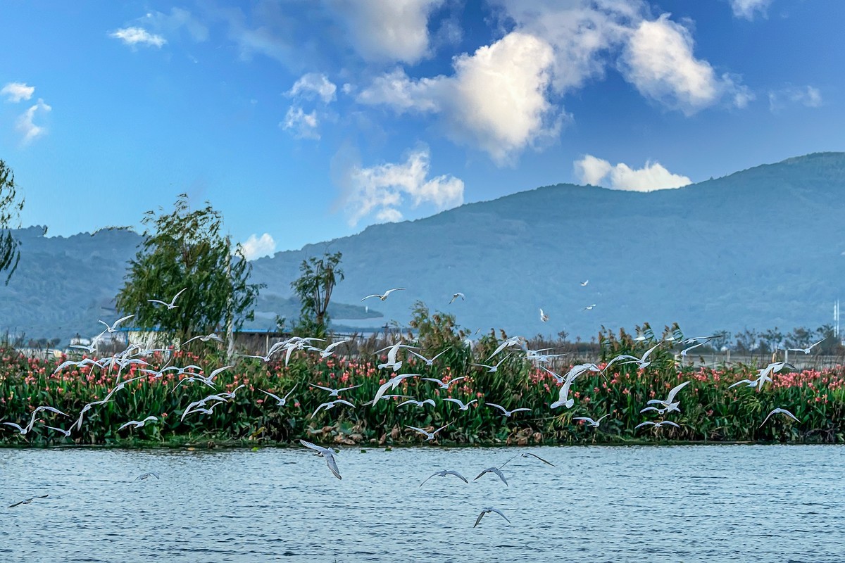 辞新迎旧，跨年特辑