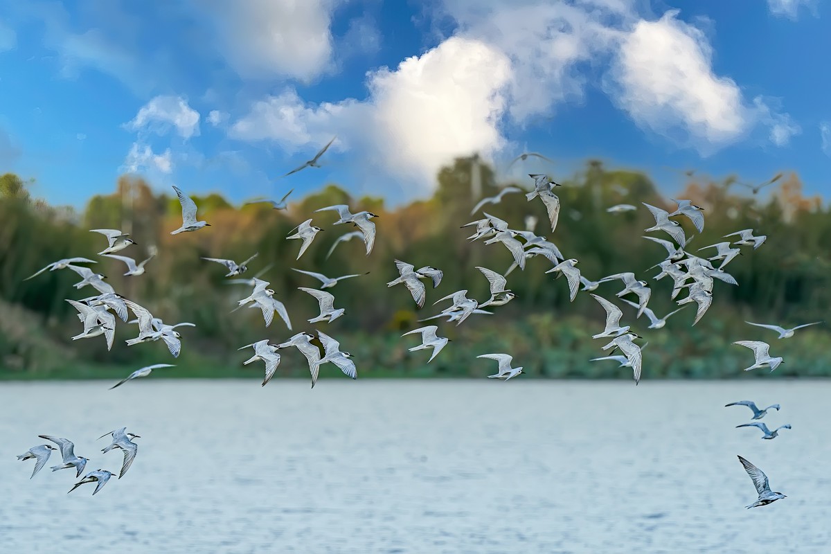 辞新迎旧，跨年特辑