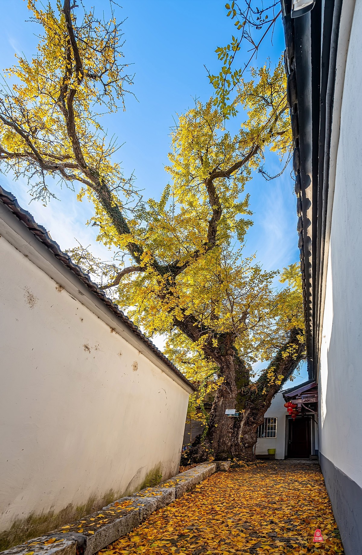 辞新迎旧，跨年特辑