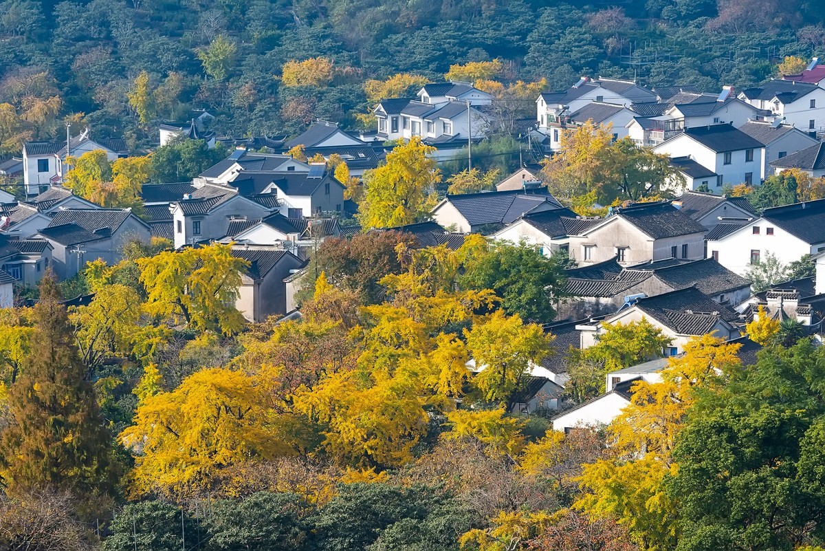 辞新迎旧，跨年特辑