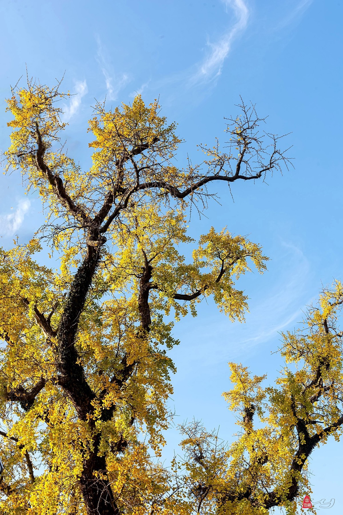 辞新迎旧，跨年特辑