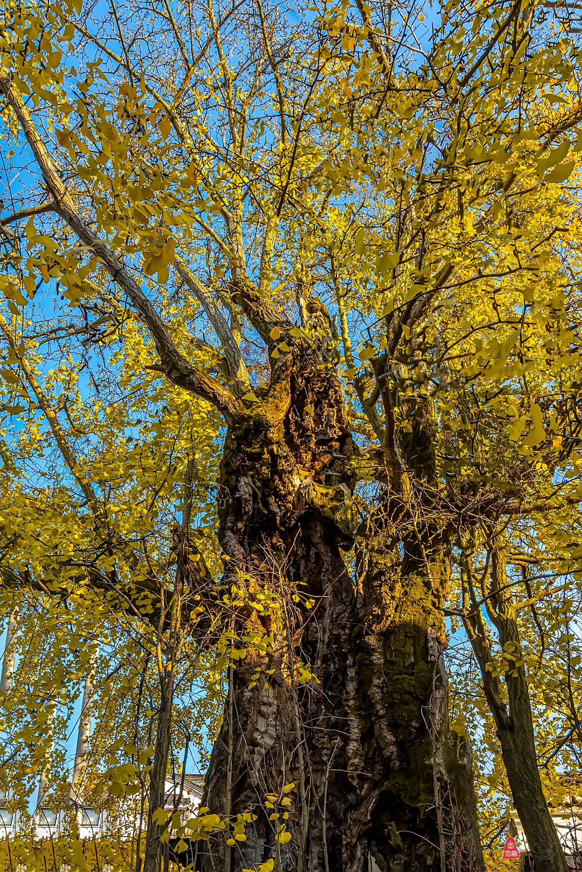 辞新迎旧，跨年特辑