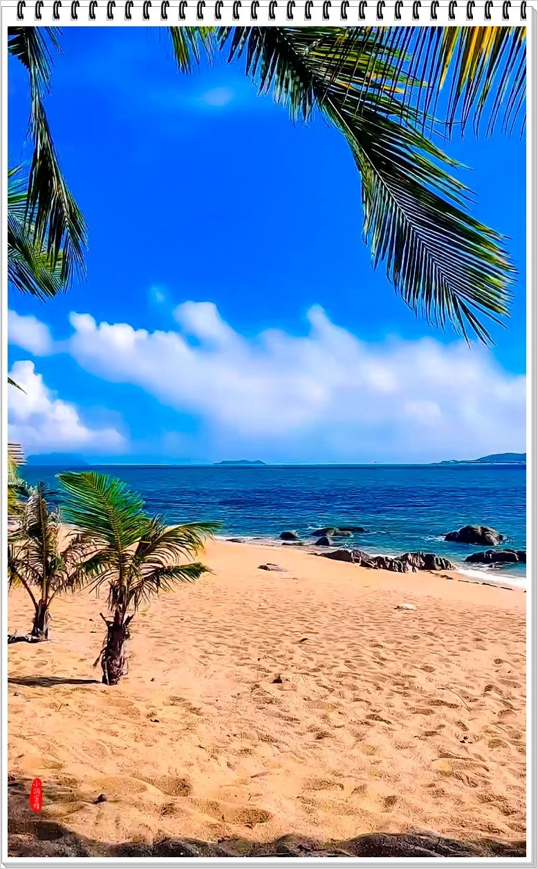 2022年海南岛抓拍-73