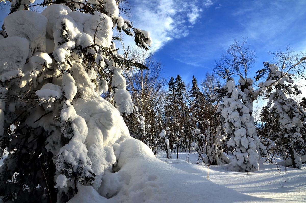 亚布力——二浪河雪乡游拍（6）