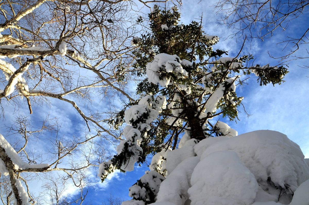 亚布力——二浪河雪乡游拍（6）