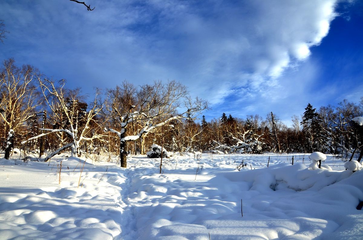 亚布力——二浪河雪乡游拍（6）