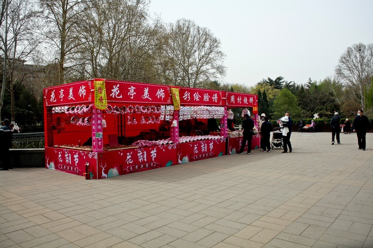 在那桃花盛开的地方（二）