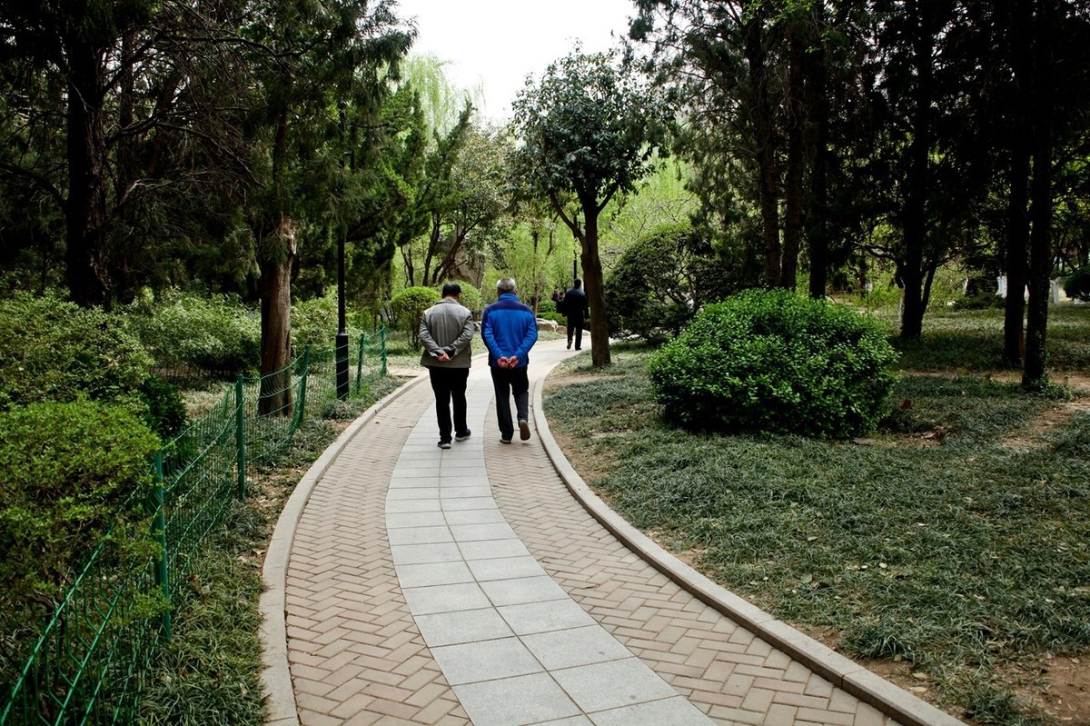 在那桃花盛开的地方（二）