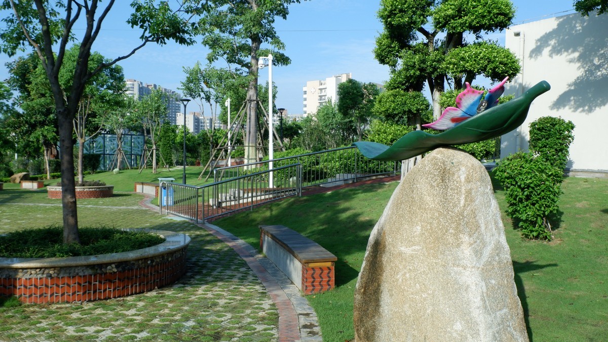 杏林湾曙光曲--27