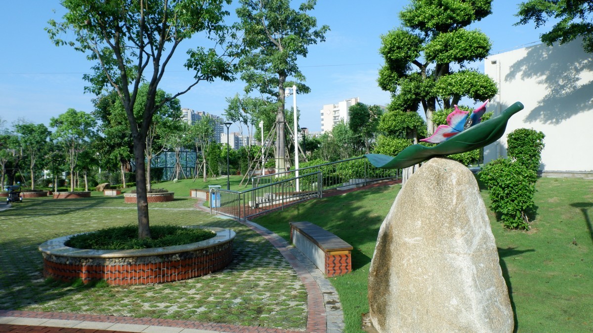 杏林湾曙光曲--27