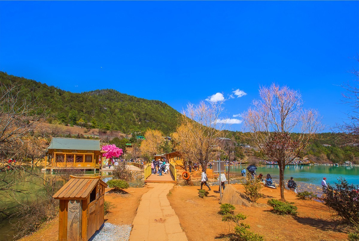 2024-09-19云南丽江蓝月谷（十七）