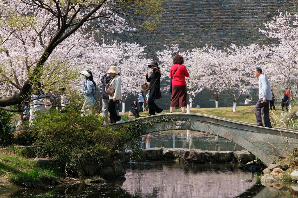 玄武湖公园一游