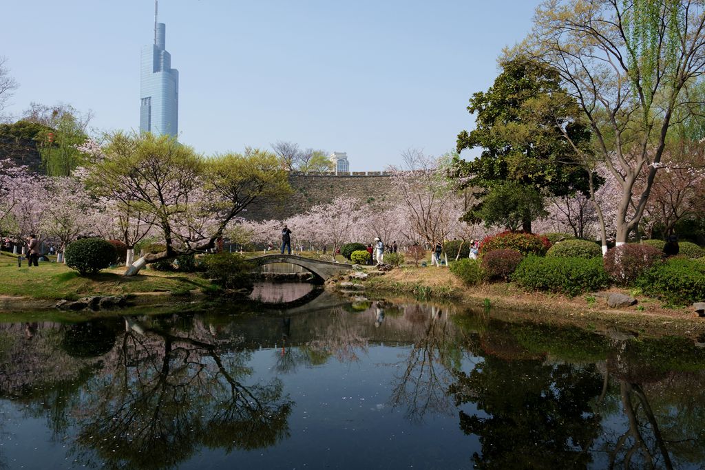 玄武湖公园一游