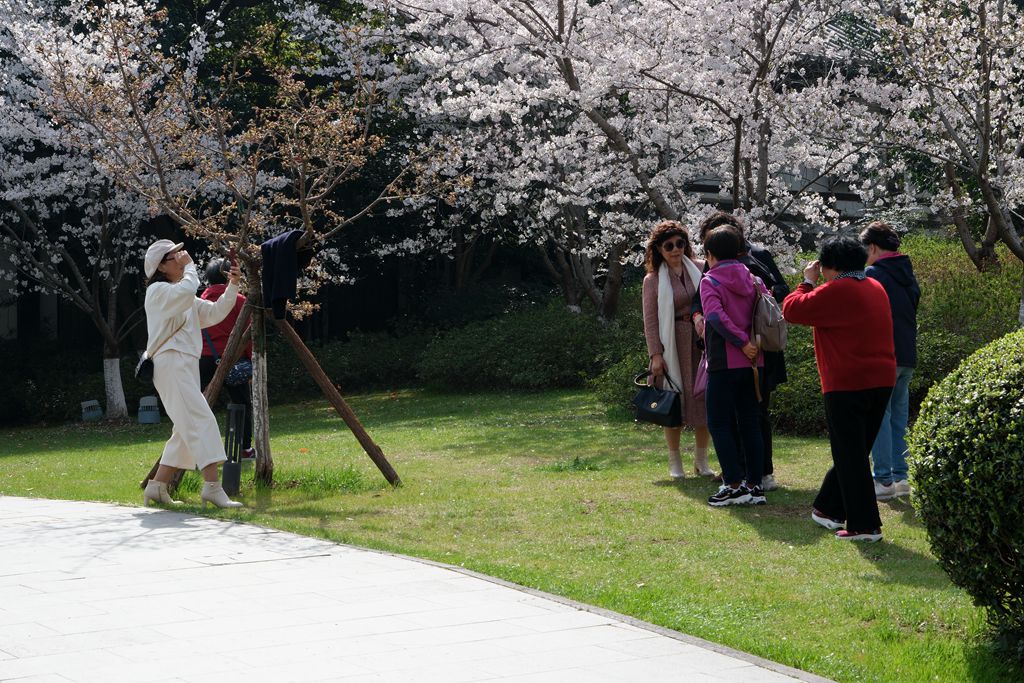 玄武湖公园一游